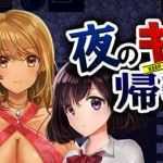 晚上危险的回家路 ver2.00 精翻汉化版 PC+安卓+存档 RPG游戏 950M-造梦少女游戏造梦少女游戏网