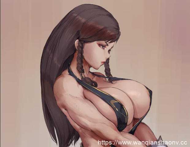 【3D同人/动画】Maiden-Masher 作品 死或生+街头霸王 【4G】-造梦少女游戏造梦少女游戏网