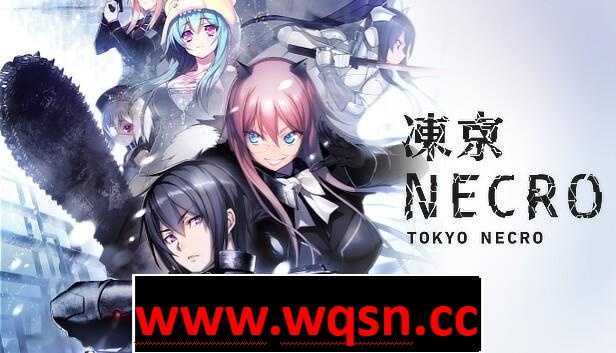【神级ADV/中文/动态】凍京NECRO STEAM官方中文步兵版+全CG存档【新作/全CV/8G】-造梦少女游戏造梦少女游戏网