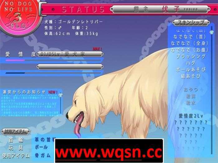 图片[4]-造梦少女游戏【調教SLG】NDNL3~没有狗狗根本活不下去 v1.10 DL正式版-造梦少女游戏造梦少女游戏网