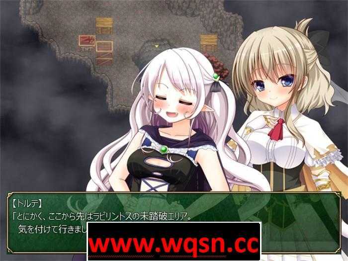 图片[6]-造梦少女游戏【经营RPG/中文】迷宫物语：FALL IN LABYRINTH 官方中文步兵版【更新/2G】 - 造梦少女游戏网-造梦少女游戏造梦少女游戏网