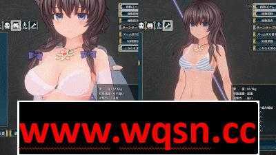 图片[7]-造梦少女游戏圣骑士莉卡物语 白翼与银翼的姐妹 白翼と银翼の姉妹 ver1.3.8-造梦少女游戏造梦少女游戏网