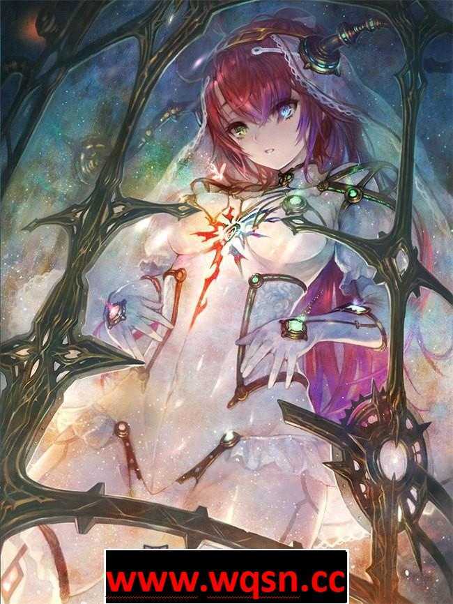 图片[5]-造梦少女游戏【大型ARPG/中文/全动态】无夜之国2：新月的花嫁 官方中文硬盘版+全DLC+修改器【19G/全CV】 - 造梦少女游戏网-造梦少女游戏造梦少女游戏网