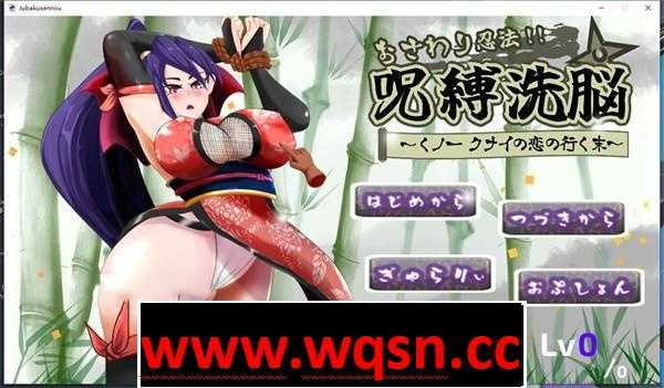 【互动SLG/中文/全动态】触摸忍法!!咒缚洗脑~ DL官方中文版【新作/700M】-造梦少女游戏造梦少女游戏网