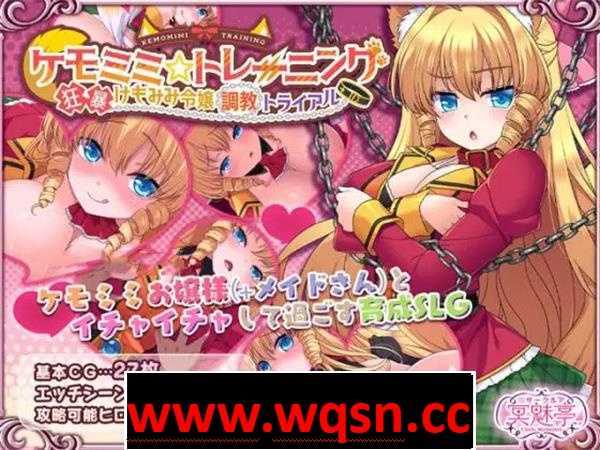 【教育SLG/生肉】天之美☆训练~疯狂的凯莫米女儿调教试验 ! DL正式版+全DLC+存档【新作/2.2G】-造梦少女游戏造梦少女游戏网