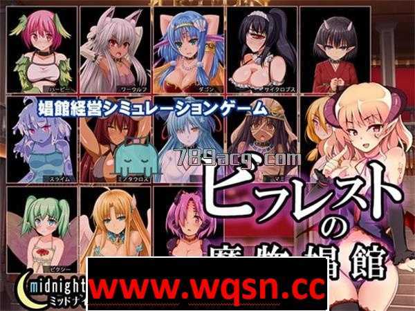 【经营SLG/生肉】比利特的魔物娘风俗店 V1.11 DL官方步兵版 【2.4G】-造梦少女游戏造梦少女游戏网