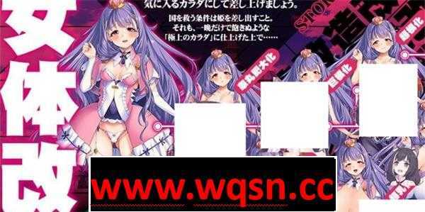 图片[2]-造梦少女游戏【教育SLG/重扣】身体改造狂乱公主！亡国公主狂暴改造+全CG【全CV/2.5G】 - 造梦少女游戏网-造梦少女游戏造梦少女游戏网