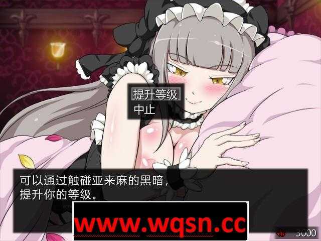 图片[12]-造梦少女游戏【RPG/中文/黑魂同人】黑暗之心 Ver1.02 STEAM官方中文步兵版+全CG【新作/500M】 - 造梦少女游戏网-造梦少女游戏造梦少女游戏网
