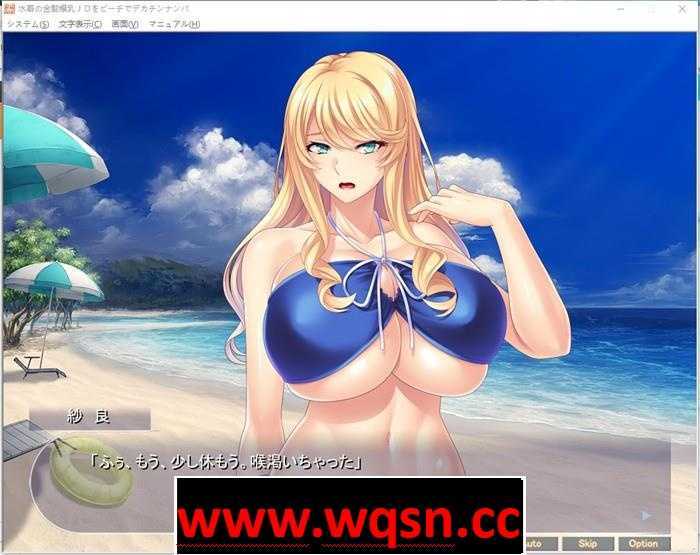 图片[2]-造梦少女游戏【拔作ADV/生肉】穿着泳装的金发爆乳JD在海滩上随意搭讪 DL正式版【全CV/400M】 - 造梦少女游戏网-造梦少女游戏造梦少女游戏网