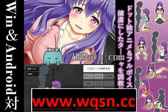 【教育SLG/像素风】教育女军官塔娜 Ver1.1 DL正式版【PC+安卓/100M】-造梦少女游戏造梦少女游戏网