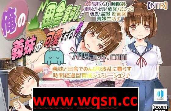 【互动SLG/生肉】我和住在乡下的弟媳妇OO的事 DL正式版【PC+安卓JOI/400M】-造梦少女游戏造梦少女游戏网
