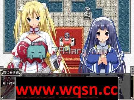 图片[3]-造梦少女游戏圣骑士露比莉亚丝：官方中文步兵版+存档+全动画PC+安卓-造梦少女游戏造梦少女游戏网