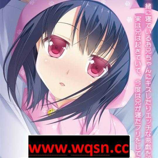 【优质铜矿/生肉】哥哥睡着了吗：お兄ちゃん寝ちゃった【PC+安卓KR/400M】 - 造梦少女游戏网-造梦少女游戏造梦少女游戏网