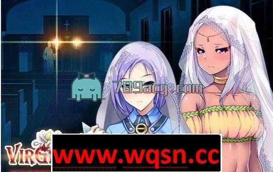 图片[2]-造梦少女游戏【战略SLG/汉化】少女之路2代：初夜权强夺主教再临 DLC1-2 全整合汉化版【PC+安卓KR】 - 造梦少女游戏网-造梦少女游戏造梦少女游戏网