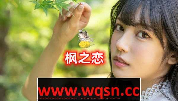 《枫之恋》ver1.0 官方中文版【 PC+安卓】-造梦少女游戏造梦少女游戏网