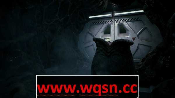 《异形：火力小队》v1.0.5.108071+边境自由职业者包DLC+全DLC - 造梦少女游戏网-造梦少女游戏造梦少女游戏网