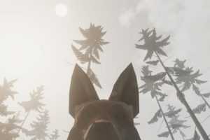 狐狸模拟器-造梦少女游戏造梦少女游戏网