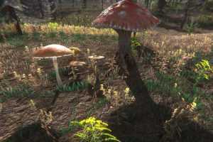 蘑菇挑战-蘑菇猎人模拟器-（官中）-造梦少女游戏造梦少女游戏网