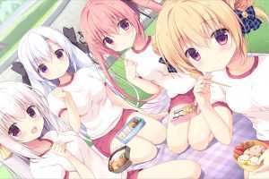 尚有佳蜜伴恋心2+DLC(官中海外版)-造梦少女游戏造梦少女游戏网