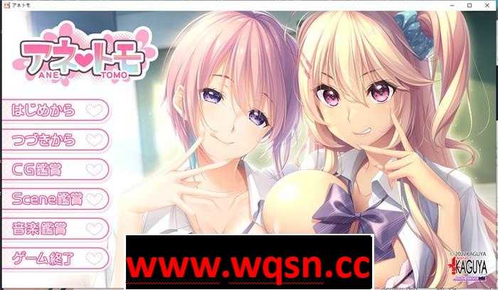 【拔作ADV/汉化】[竹子社]姐弟之恋~アネトモ AI最新汉化版+存档【新汉化/CV/4.3G】-造梦少女游戏造梦少女游戏网