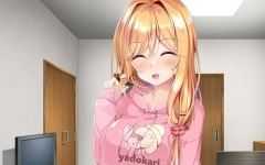 少女与老师的恩爱生活 AI精翻汉化版 ADV游戏+全CG存档+全CV 1G-造梦少女游戏造梦少女游戏网