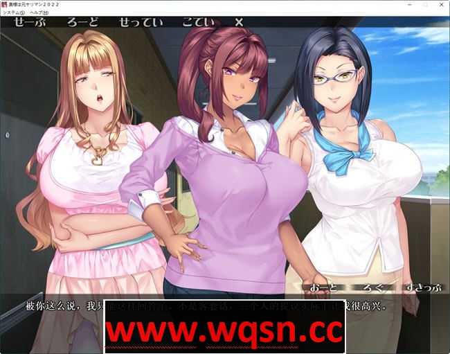 图片[3]-造梦少女游戏[ADV/汉化] 太太原是梦想家2022~奥様は元ヤリマン2022~ 汉化版-造梦少女游戏造梦少女游戏网