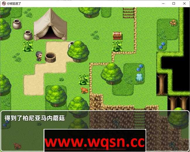 图片[2]-造梦少女游戏你被驱逐了 官方中文作弊版 PC+安卓 RPG游戏 1.2G - 造梦少女游戏网-造梦少女游戏造梦少女游戏网