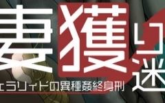 【爆款RPG/汉化】妻獲り迷宮：雪拉莉德的异种终身刑 汉化作弊版【PC+安卓/1.3G】-造梦少女游戏造梦少女游戏网