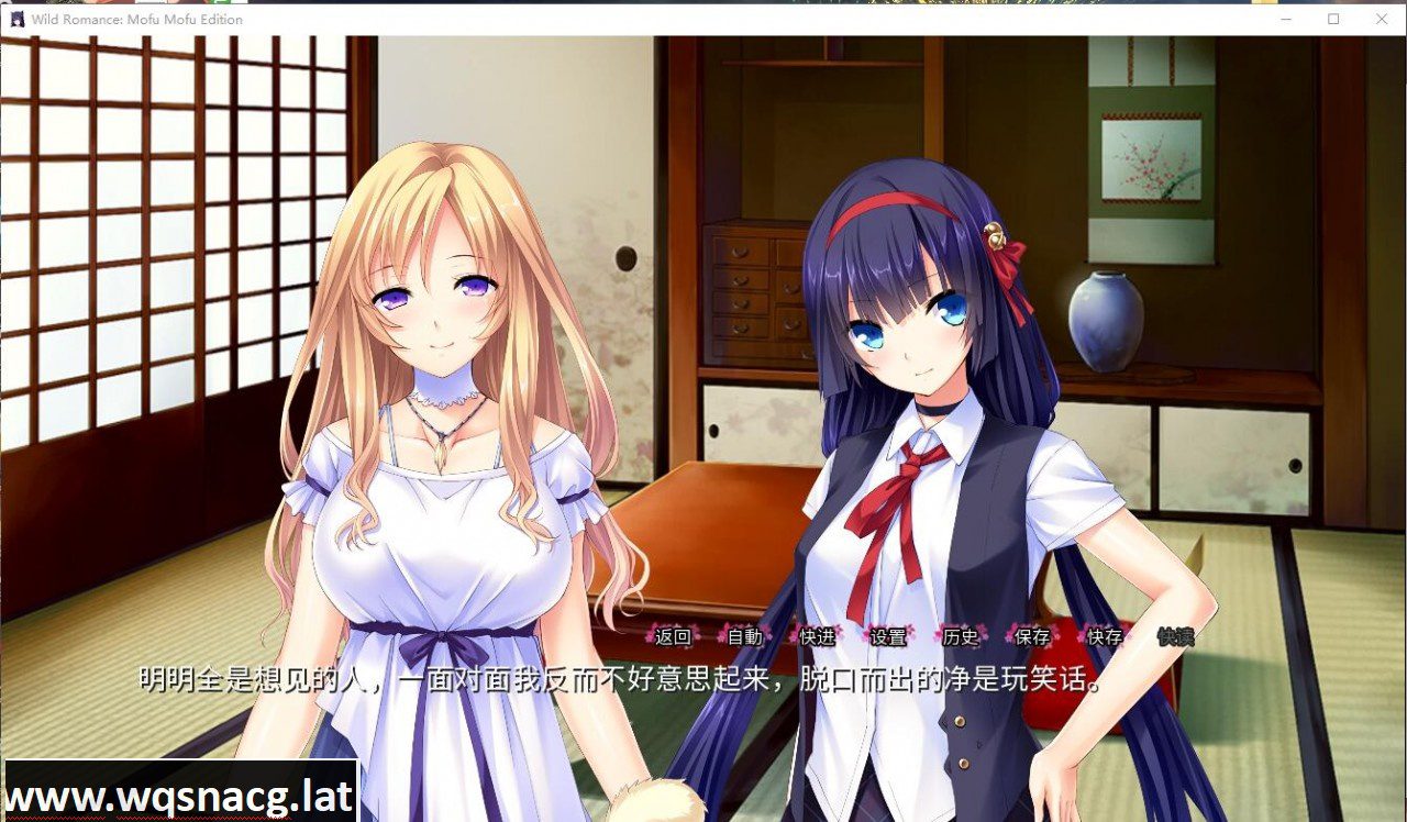 [ADV拔作/汉化/全CV] 我的兽耳后宫~野性的浪漫  汉化完结版+全CG [1.6G]-造梦少女游戏造梦少女游戏网