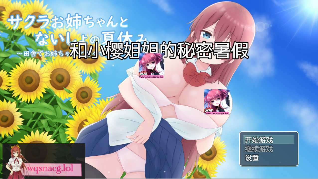 [日系RPG/汉化] 和小樱姐姐的秘密暑假 サクラお姉ちゃんとないしょの夏休み PC+安卓汉化版 1.2G - 造梦少女游戏网-造梦少女游戏造梦少女游戏网