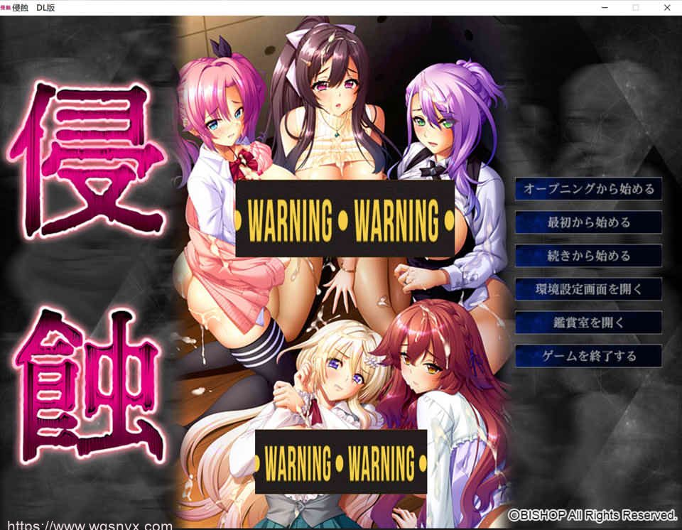 [ADV/AI机翻]BISHOP主教社 侵蚀 附带全CG存档PC+手机EX模拟器-造梦少女游戏造梦少女游戏网