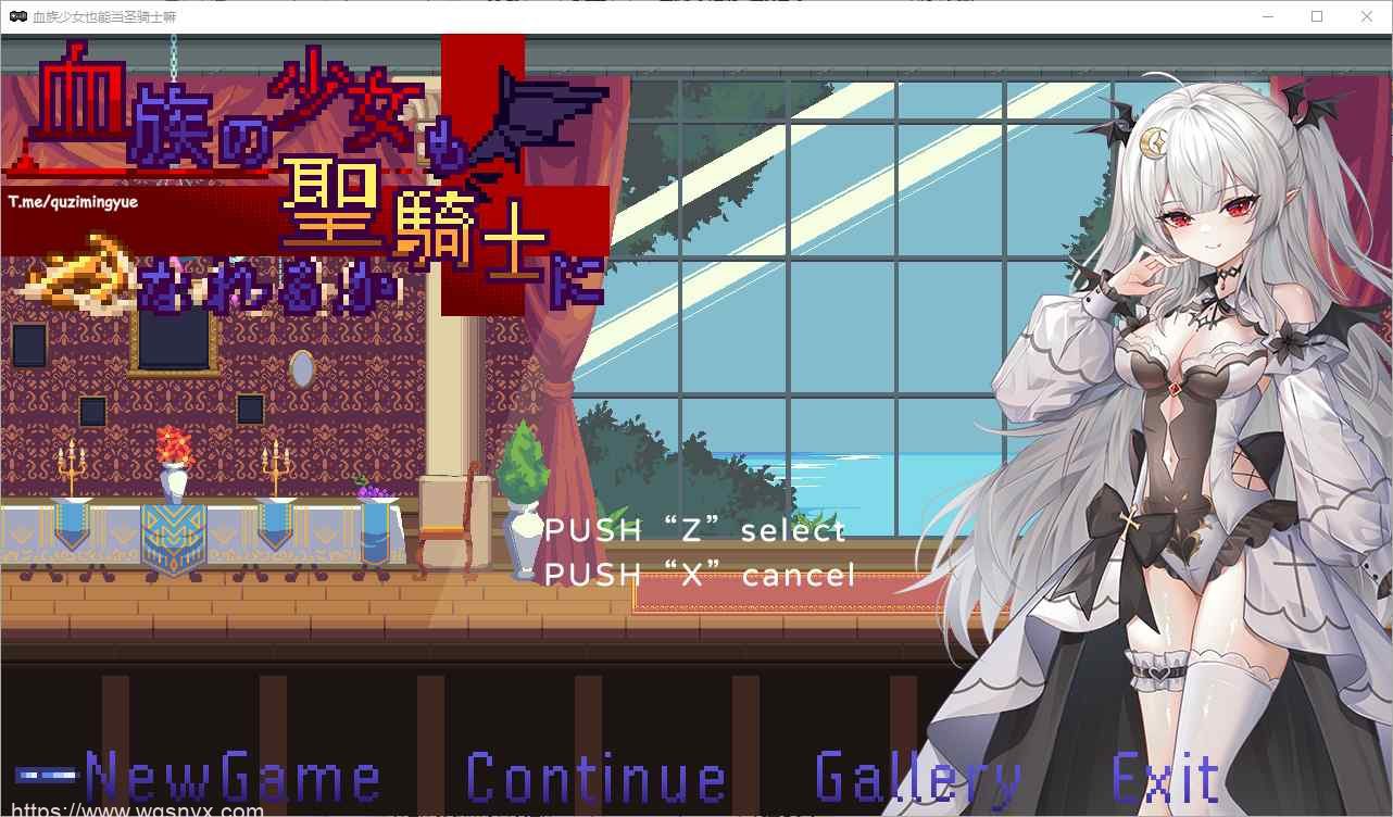 [ACT/汉化] 血族少女也能当圣骑士吗 Ver1012 STEAM官方中文版300M-造梦少女游戏造梦少女游戏网