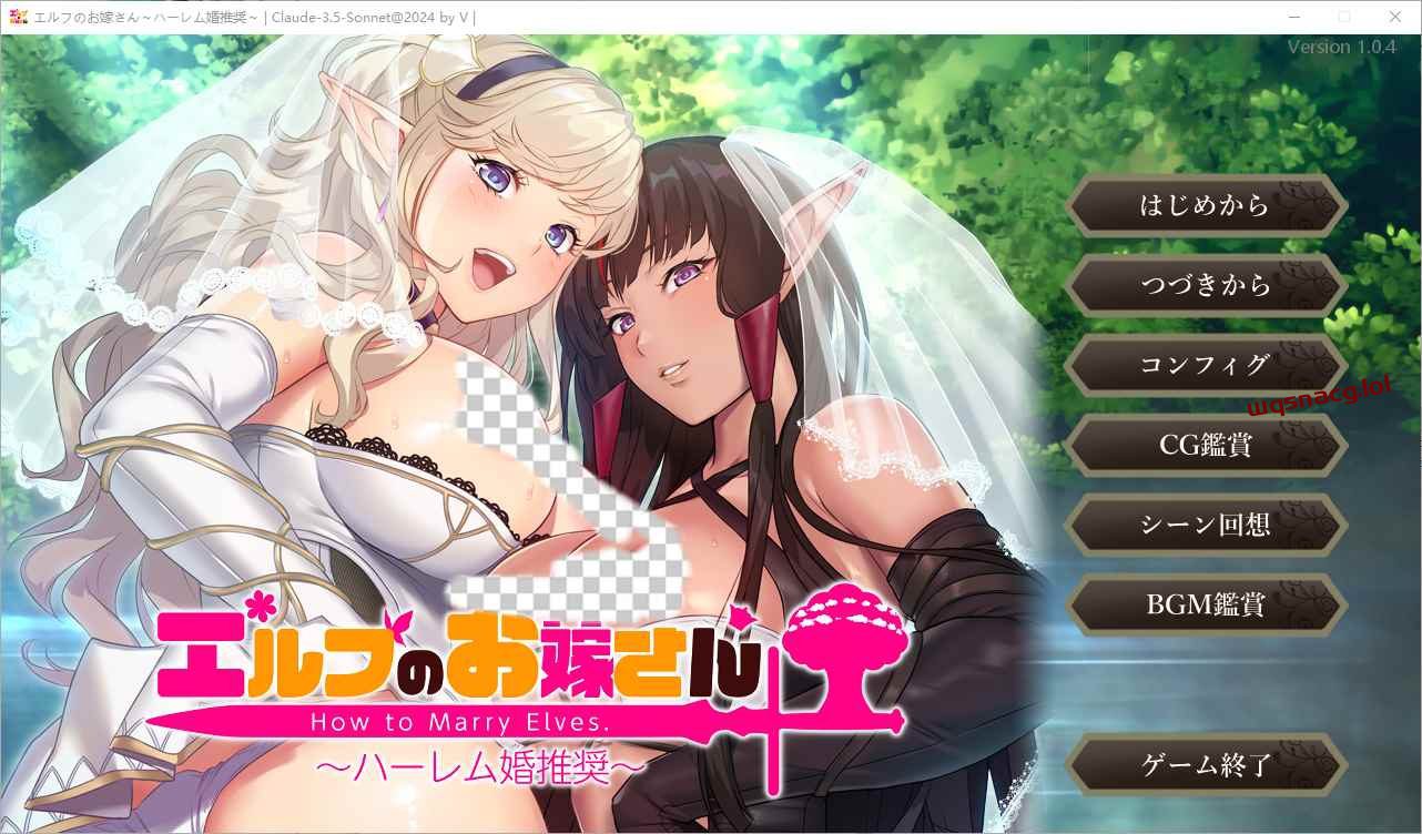 [SLG/中文] 如何与精灵结婚~后宫结婚推奖 AI汉化版+全CG存档1.2G-造梦少女游戏造梦少女游戏网