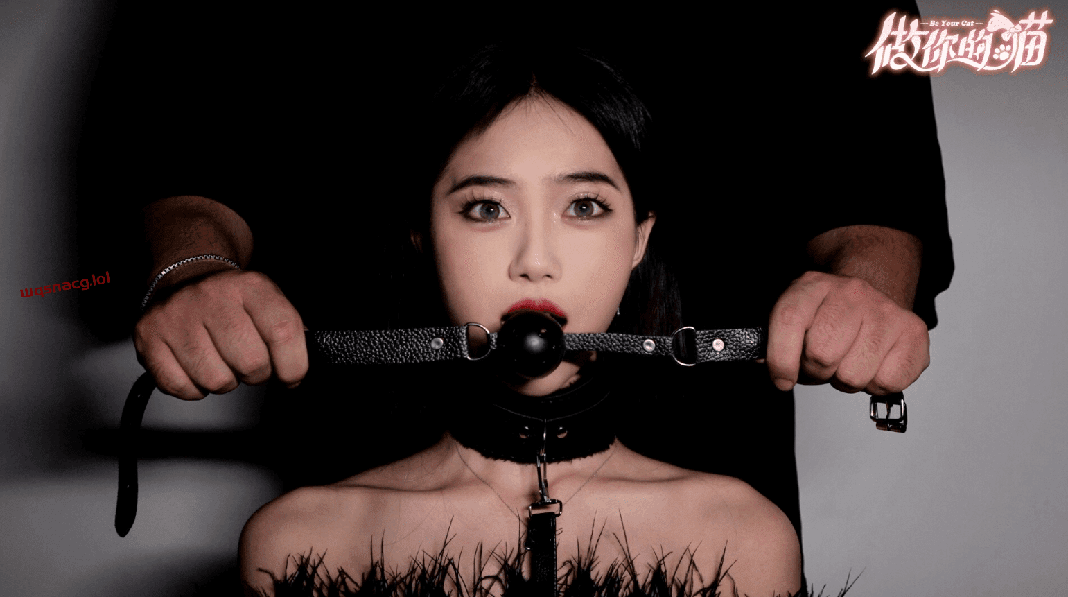 【互动SLG/中文/真人全动态】做你的猫咪TENOKE 官方中文硬盘版【33.6G/新作/中文配音】-造梦少女游戏造梦少女游戏网