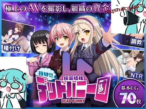 [经营SLG] 行吧！！秘密结社死番兔团 行け!! 秘密結社デッドバニー団 AI汉化 [1G]-造梦少女游戏造梦少女游戏网