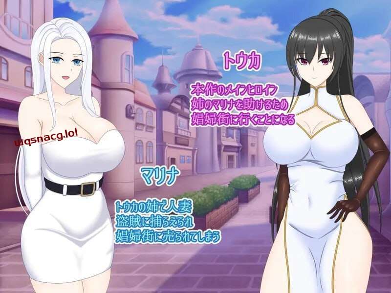 [探索RPG/NTR] 寝取られ娼婦街～強気幼馴染が娼婦に堕ちる PC+安卓 v1.0 AI汉化 [1G]-造梦少女游戏造梦少女游戏网