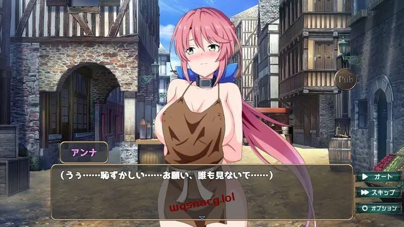 [互动SLG] 骑士安娜 -奴隶调教记录 騎士アンナ -奴隷調教記録 v1.0-造梦少女游戏造梦少女游戏网