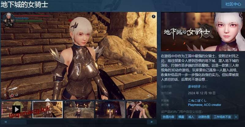 [ACT/汉化] 地下城的女骑士 地下城の女騎士 v25.01.23 官方中文步兵版-造梦少女游戏造梦少女游戏网