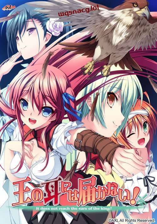 [拔作ADV] 王的耳朵听不到！王の耳には届かない！AI汉化版+全CG存档2.4G-造梦少女游戏造梦少女游戏网