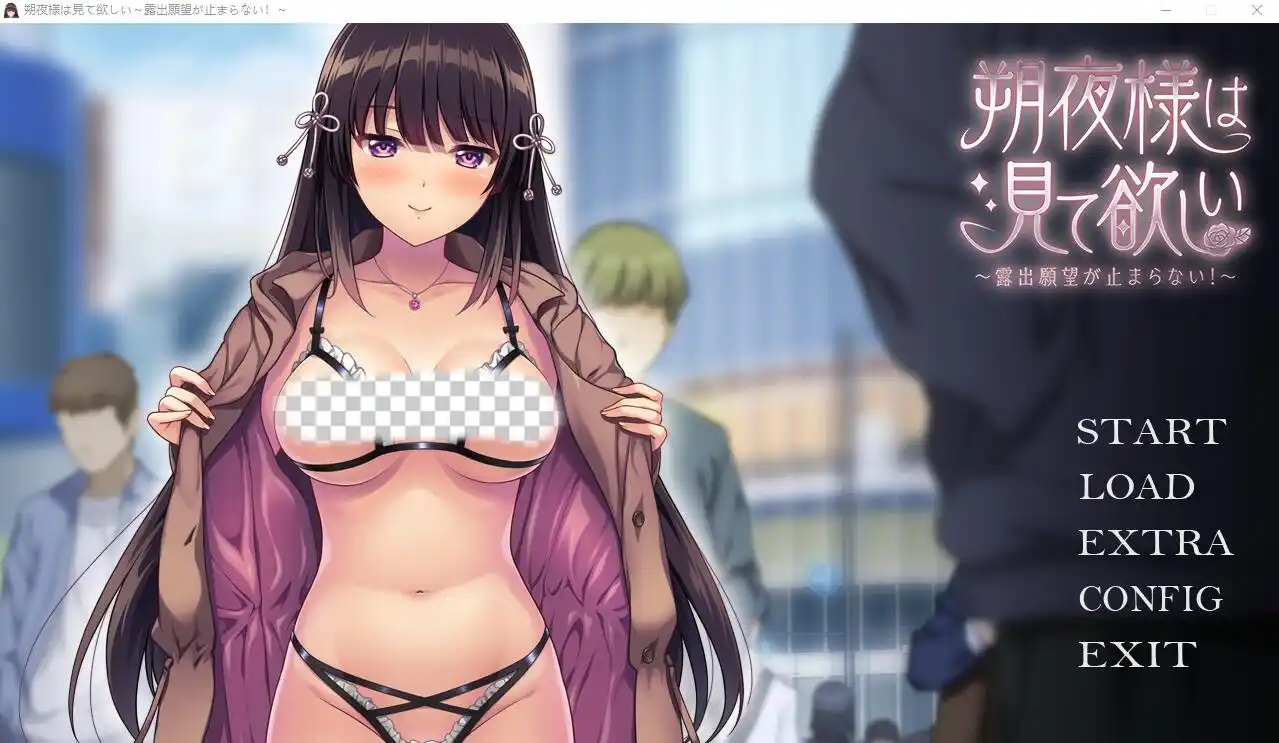 [ADV游戏/汉化] 朔夜大人，请看看～无法停止的暴露愿望！～AI汉化版+全CG存档 1.7G-造梦少女游戏造梦少女游戏网