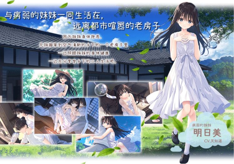 图片[6]-造梦少女游戏【爆款RPG】[妹系]痴情哥哥与病弱妹妹的乡间生活 Ver1.0 官方中文版 DLC1+2 - 造梦少女游戏网-造梦少女游戏造梦少女游戏网