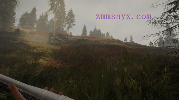 图片[6]-造梦少女游戏猎人 荒野的召唤|官方中文|Build.20937335+苏格兰狩猎保护区DLC-荒野猎魂-血誓荒原+全DLC|解压即撸| - 造梦少女游戏网-造梦少女游戏造梦少女游戏网