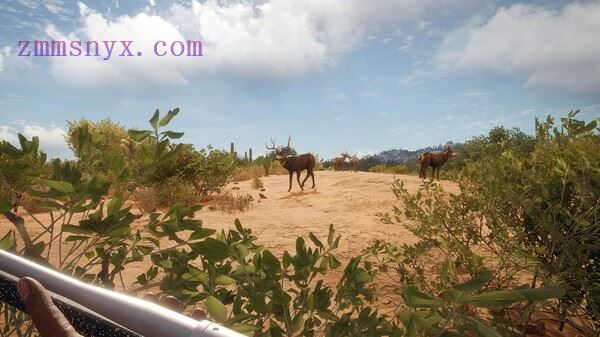 图片[8]-造梦少女游戏猎人 荒野的召唤|官方中文|Build.20937335+苏格兰狩猎保护区DLC-荒野猎魂-血誓荒原+全DLC|解压即撸| - 造梦少女游戏网-造梦少女游戏造梦少女游戏网