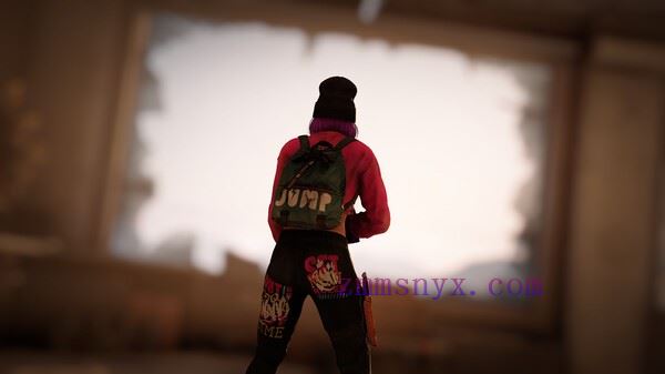 图片[2]-造梦少女游戏僵尸世界大战 劫后余生|官方中文|Build.19862255-暗夜屠戮-末日狂潮+全DLC+修改器|解压即撸| - 造梦少女游戏网-造梦少女游戏造梦少女游戏网