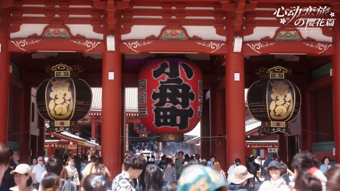 图片[13]-造梦少女游戏心动恋旅 樱花篇|豪华中文|Build.19963751-1.0.2+全DLC|解压即撸| - 造梦少女游戏网-造梦少女游戏造梦少女游戏网